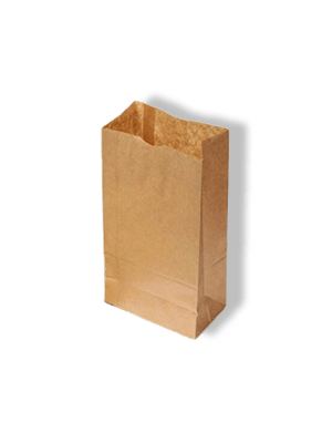 BROWN PAPER BAG - BROWN PAPER BAG