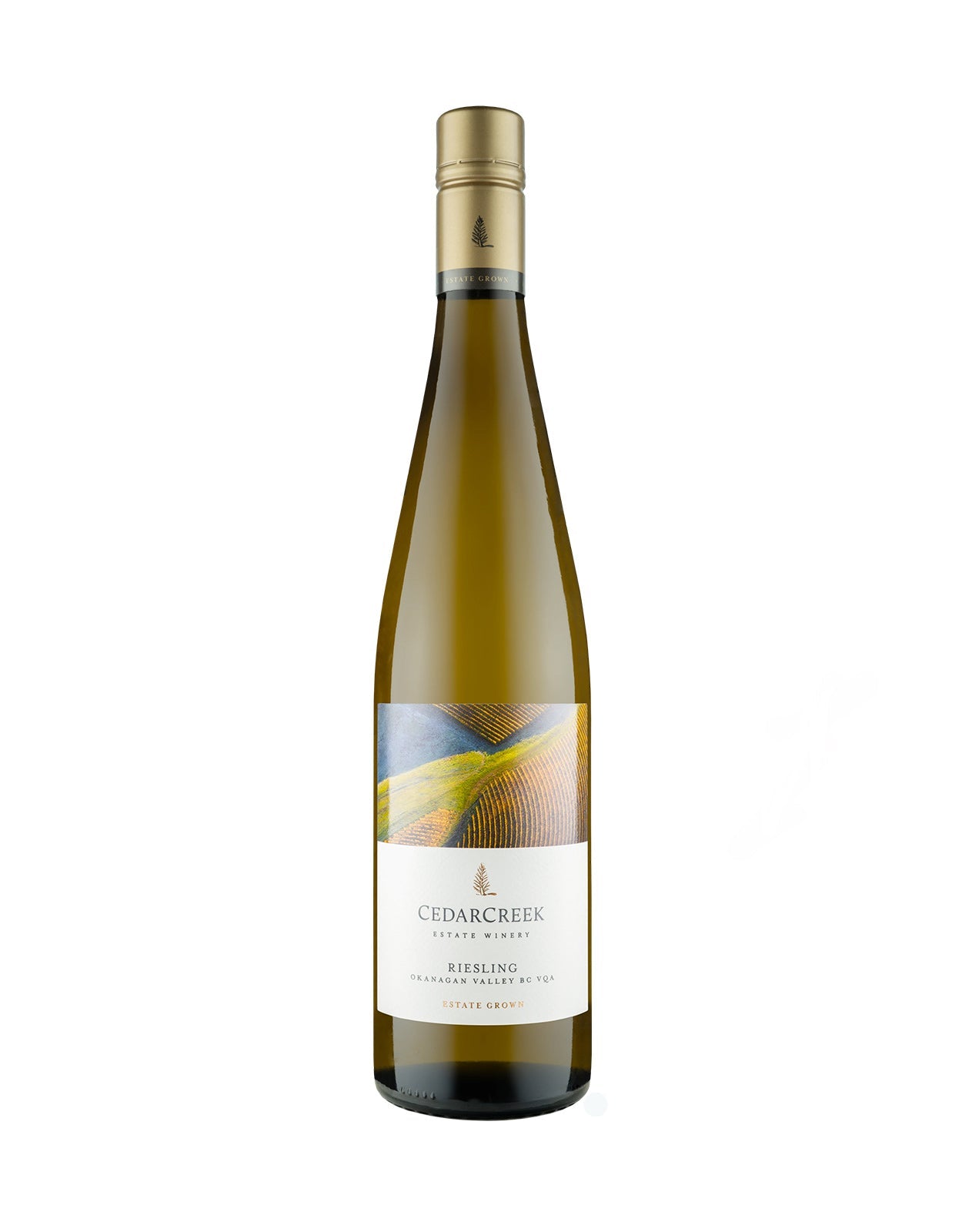 Cedar Creek Estate Riesling 2024