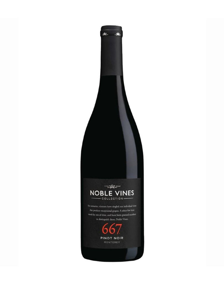 667 Pinot Noir 2022
