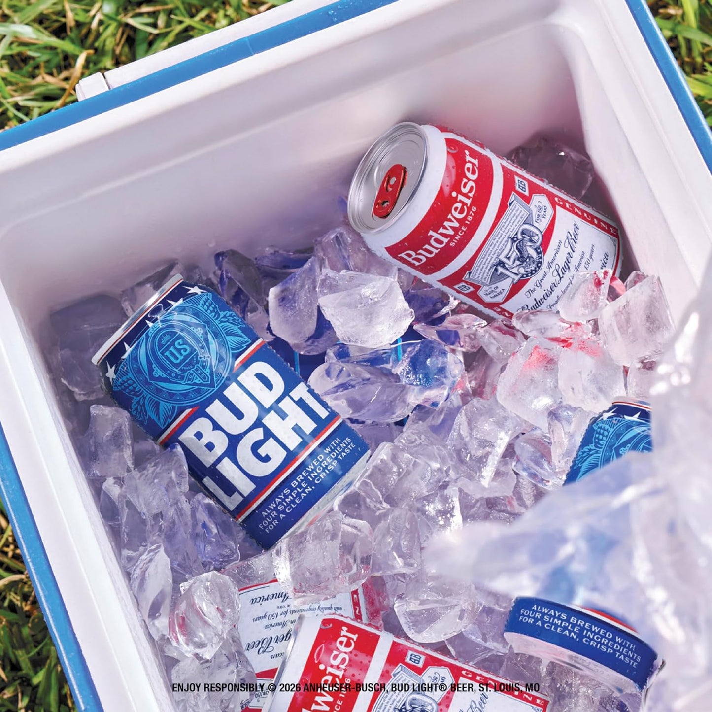 Bud Light 12 x 355 ml