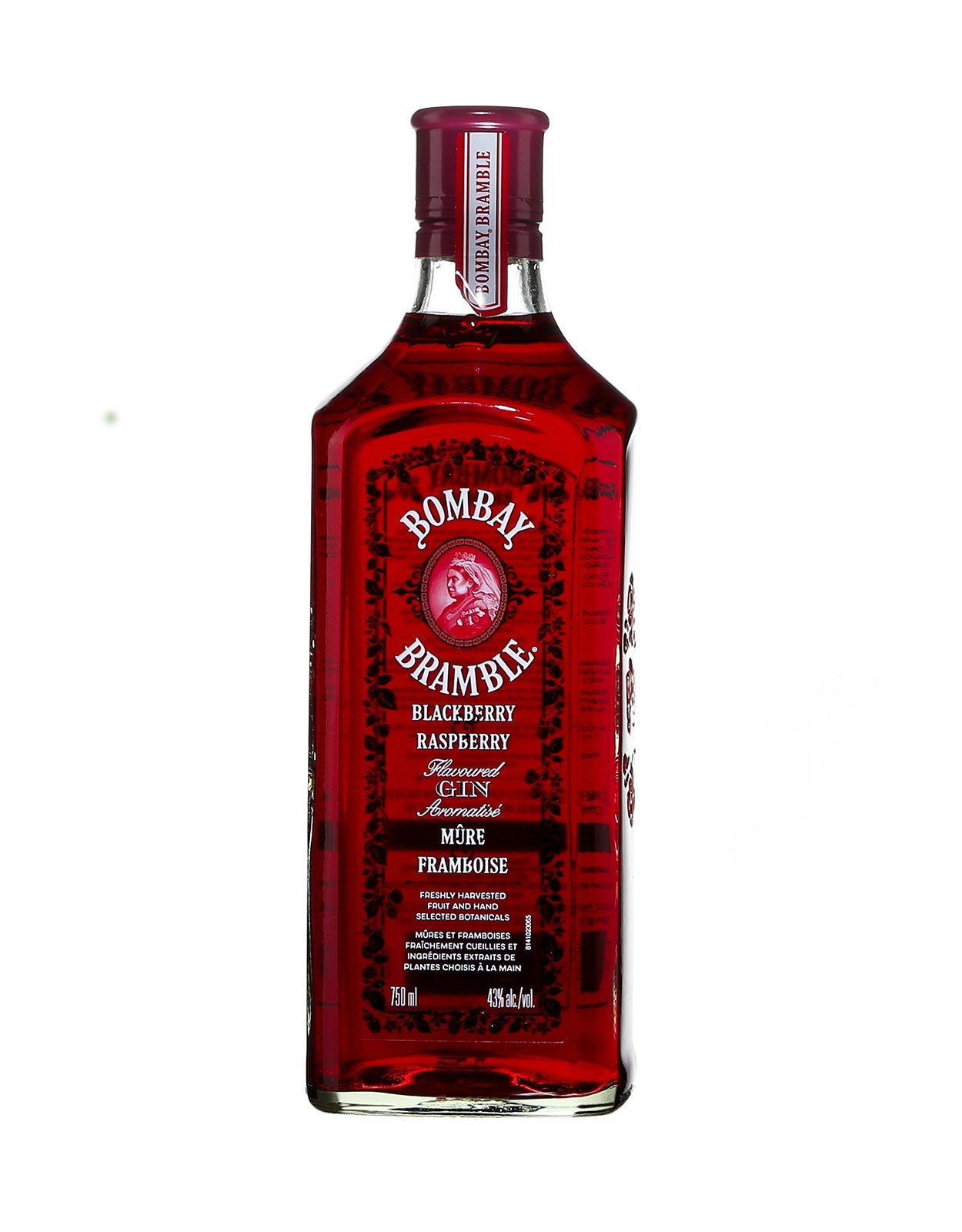 Bombay Bramble